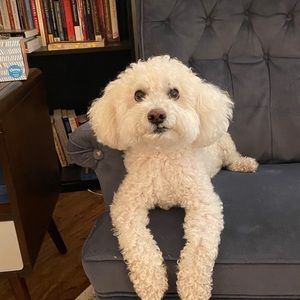 Meet your Posher, Margaret jay